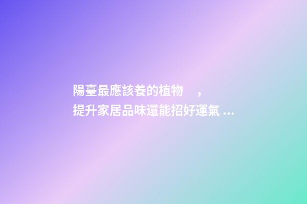 陽臺最應該養的植物，提升家居品味還能招好運氣、阻隔不良氣場